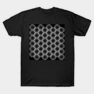 Pi spiral 002 T-Shirt